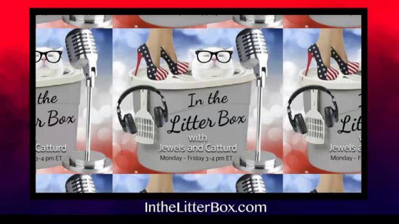 Patriotism Is Spreading | In the Litter Box w/ Jewels & Catturd - Ep. 560 - 5/3/2024