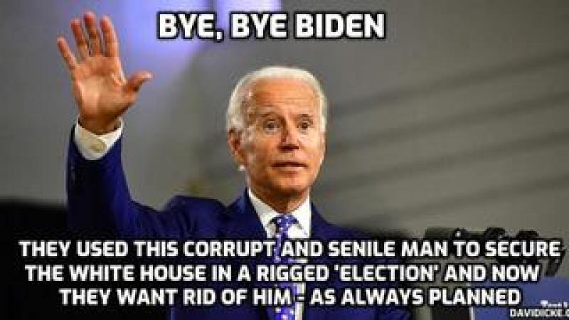 It#x27;s All Falling Apart For The Biden Family - David Icke