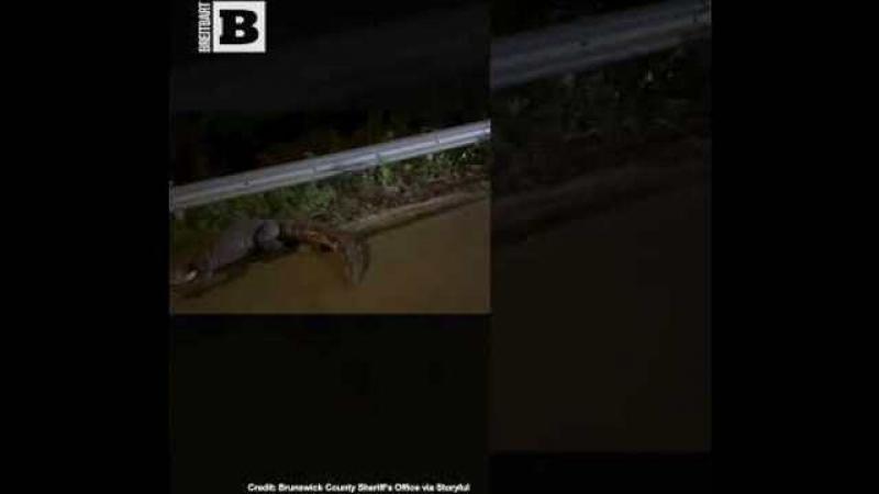 Monster Gator! North Carolina Deputies Wrangle Gigantic Brute