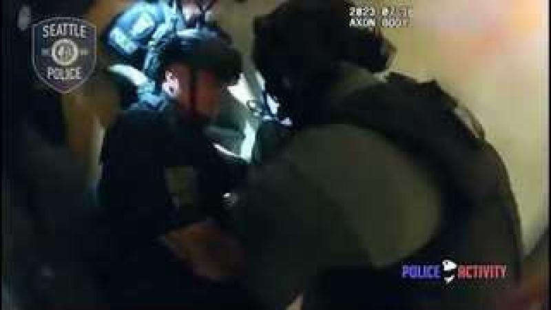 More Incompetent Ponytail Police Endangering The Public & Saved By A Man