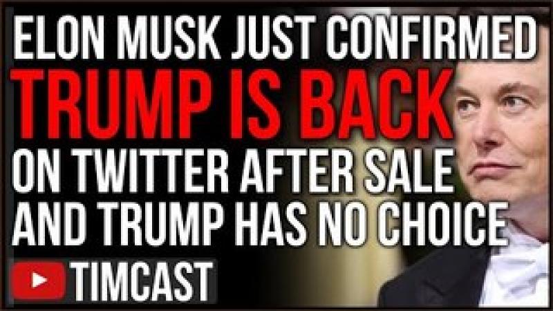 Elon Musk CONFIRMS Trump Will Be Brought Back To Twitter, Despite Trump's Claim HE WILL Be Back